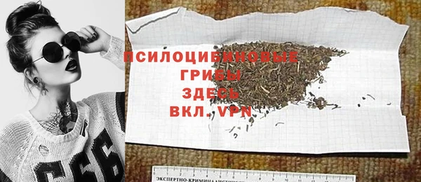 прущий лед Алексин