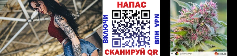 Бошки марихуана сатива  купить   Осинники 